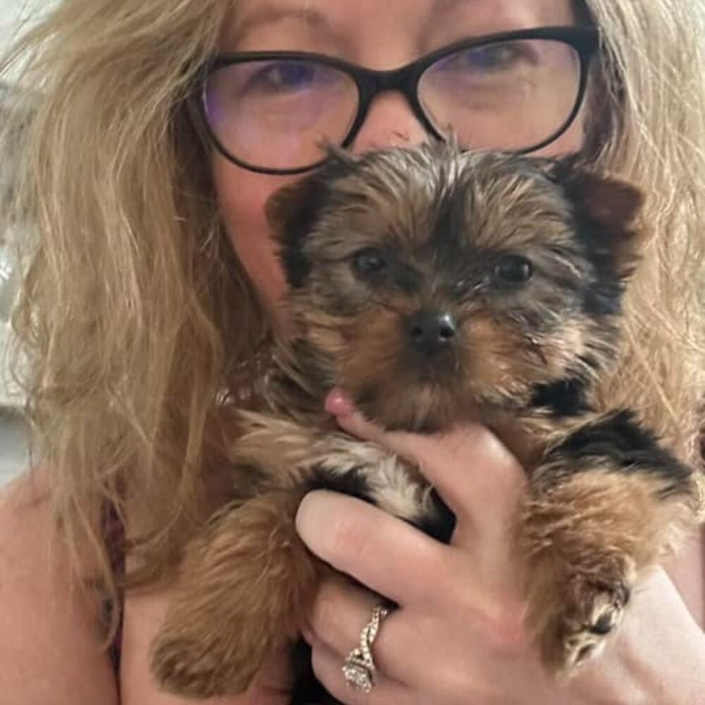 📣📧Live Show flyer💋❣️🎉❤️Like this notified live shows!! - Picture 9 of 15